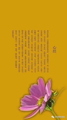 心经图片,心经全文手机壁纸高清竖屏