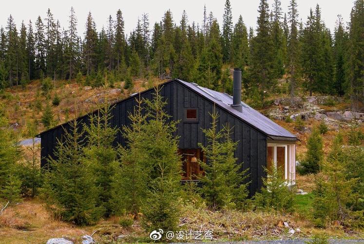 建筑设计,超酷的山中小屋