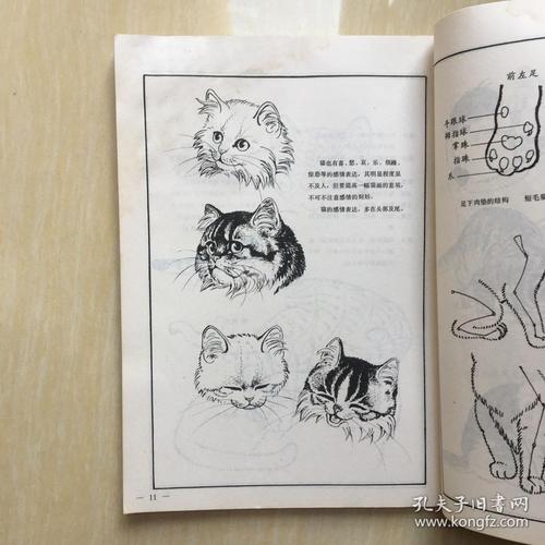 百猫谱 