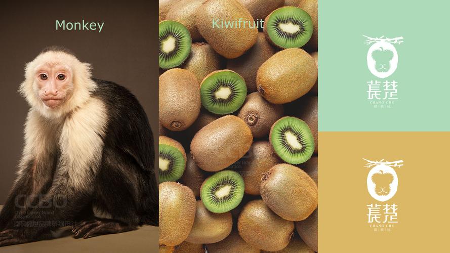江西苌楚猕猴桃品牌vi标志设计