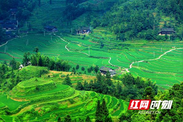 青山绿水我的家⑨新化土坪村养在深闺里的小凤凰