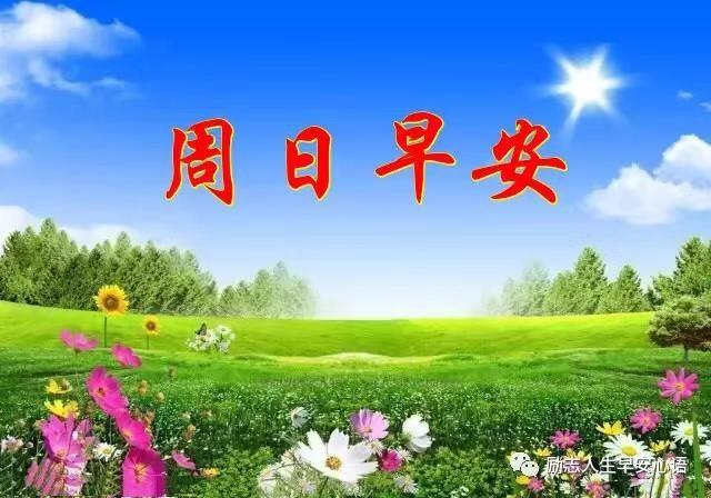 周日你好,早上好视频带祝福语,祝朋友们在新的一天,心情舒畅,吉祥安康