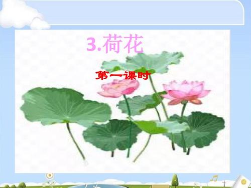 三年级下册语文课件 - 3荷花(共17张ppt)人教部编版
