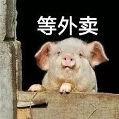 等外卖快饿死了搞怪表情包