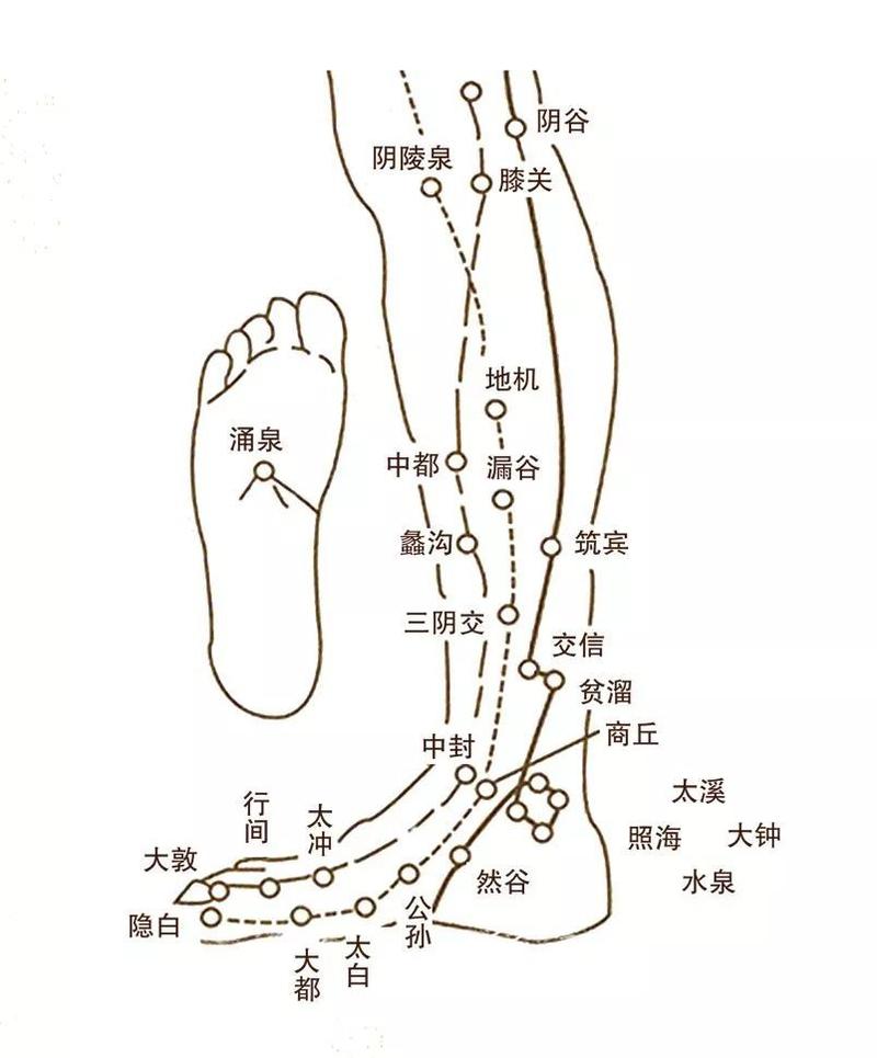 "人老脚先衰",请别再忽视你的脚部经络了!