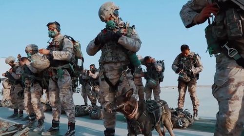 解放军特种部队"雷神"为何带上军犬空降?可执行斩首作战