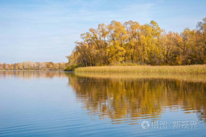 湖面上的秋日宁静倒映在水中的树木