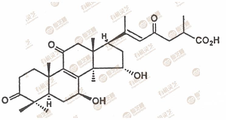 具有抗肿瘤活性的灵芝三萜(灵芝酸a)结构