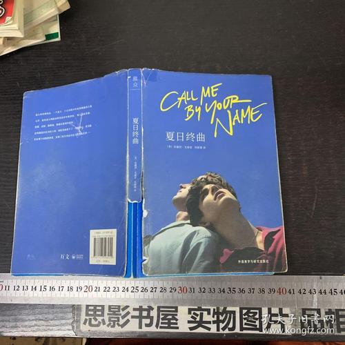 夏日终曲(第90届奥斯卡最佳改编剧本奖电影《请以你的