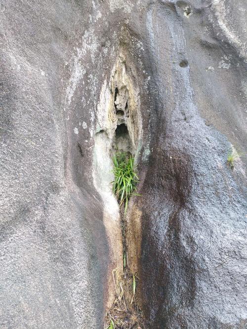 转角遇到又一大自然的杰作——"生命之门".