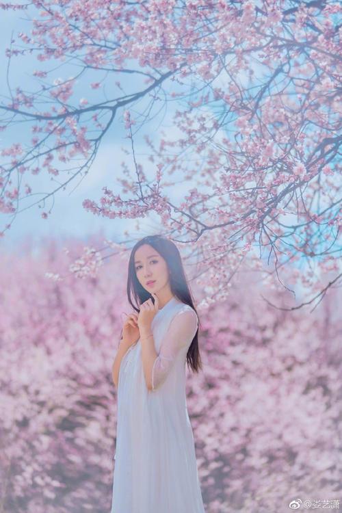 娄艺潇唯美写真 一袭白裙长发及腰画面美