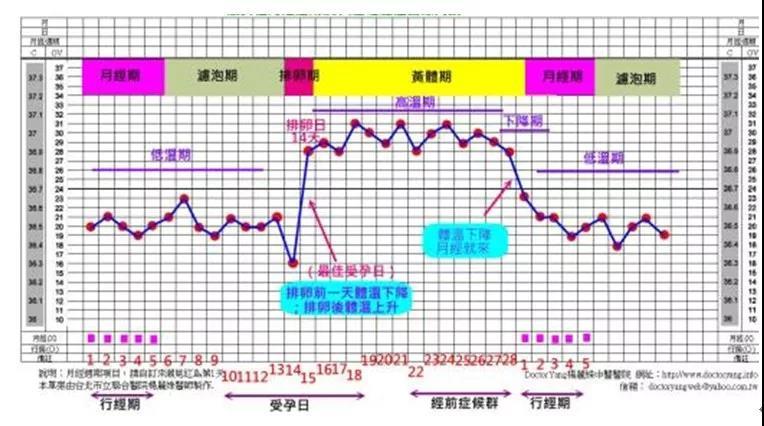 高雌激素水平会诱发血促黄体生成素(简称lh)生成,诱导排卵