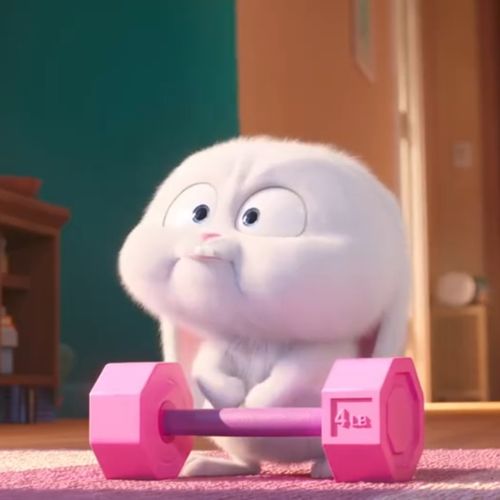 大家有没有爱宠大机密的兔子雪球snowball的头像啊