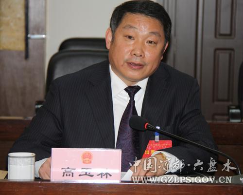 六枝特区区委书记高玉林汇报分组审议情况 视力保护色