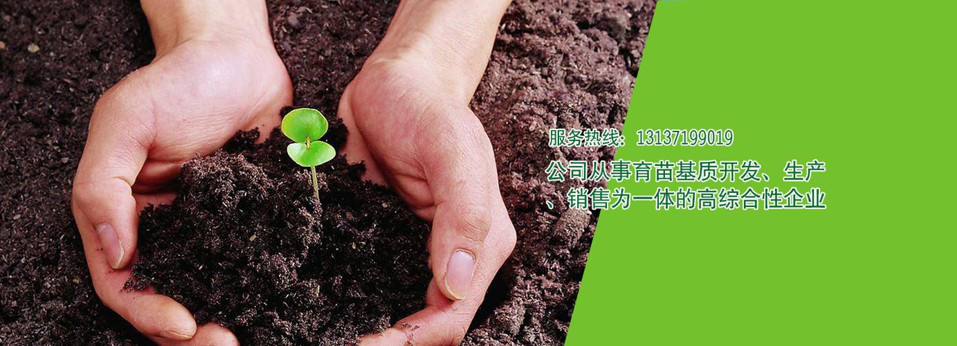 河南省富民育苗基质有限公司