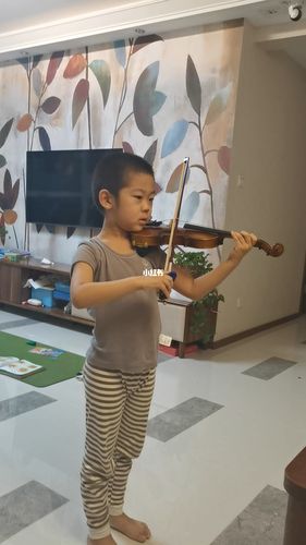 小提琴快板_小提琴_母婴_早教