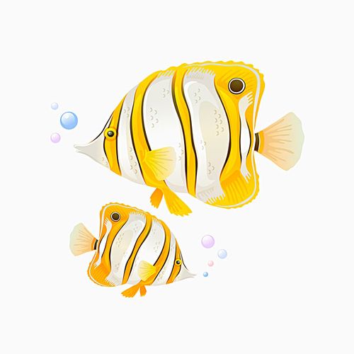 蝴蝶鱼图片_蝴蝶鱼图片大全_全景图片