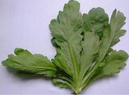 鹅菜是什么菜啊,希望有图有真相啊