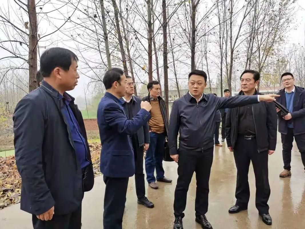 沛县县委副书记县长苏伟调研生态环境工作