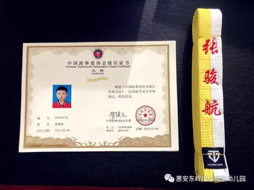 新东幼儿园|2019年秋季艺术班—【跆拳道课】合影