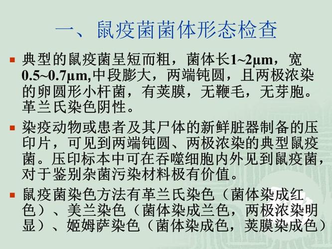 鼠疫实验室检测技术