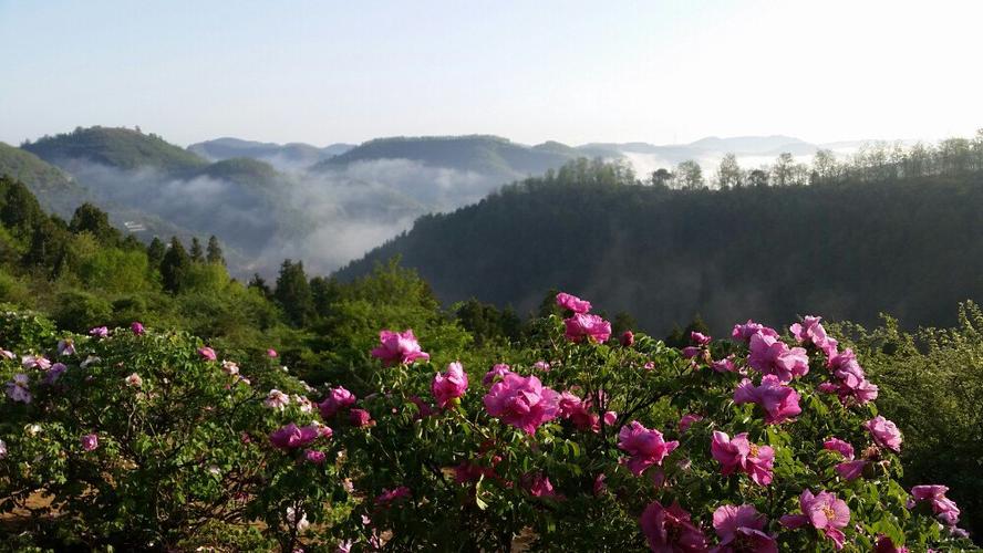 万花山景区