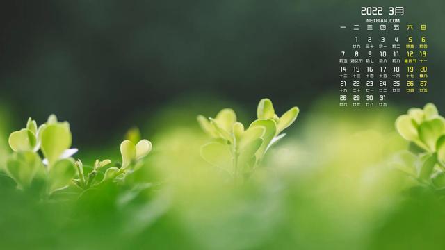 精选2022年3月日历桌面壁纸开春新气象生机盎然