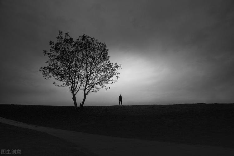 男人的一半是女人(女人是男人的未来视频完整)