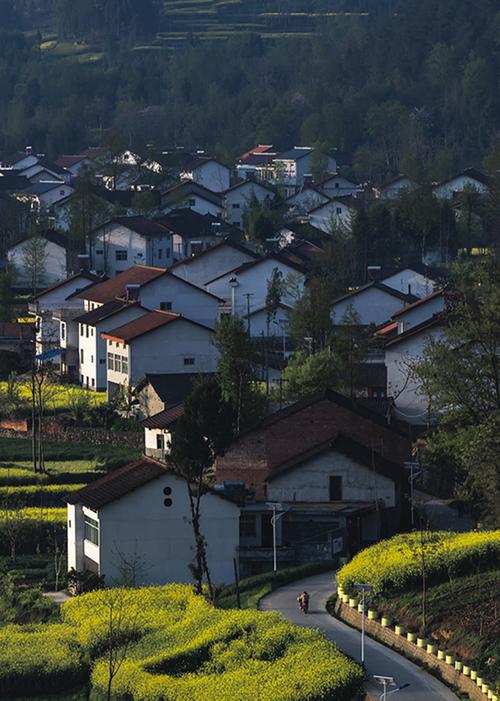 642_900竖版 竖屏