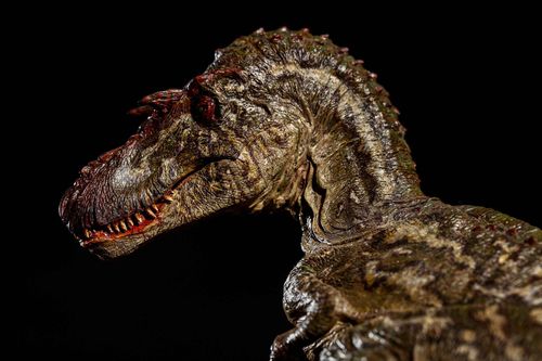 戈尔岗龙蛇发女怪龙