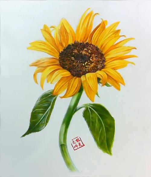 【彩铅学习】彩铅花卉教学——向日葵_彩铅_学习_向日葵_花卉_彩铅