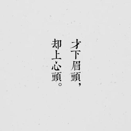 孤独适可而止,狂欢信手拈来「文字壁纸」