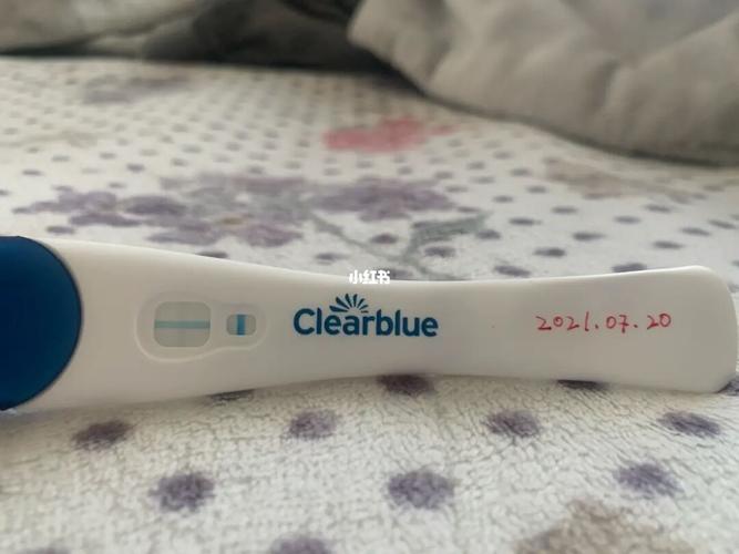 可丽蓝 加号 加号 加号!