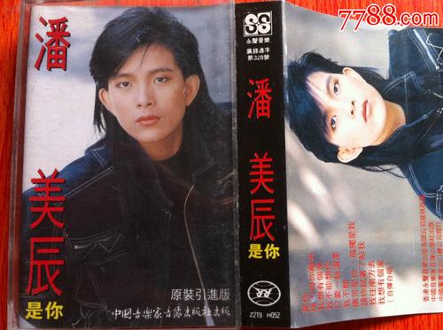潘美辰--是你