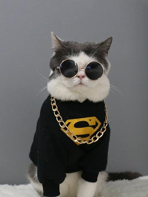 爱猫78 酷酷拽拽大喵 壁纸 喵呐可恨那主子呀 偏生高冷滴很 你想撸