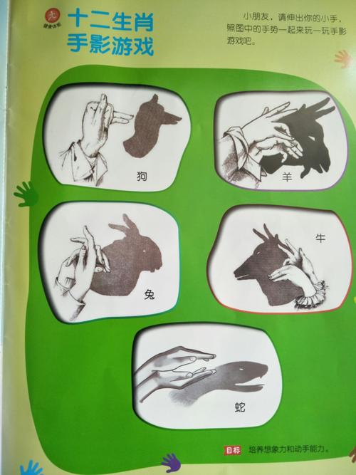 起航国际幼儿园马家堡分园【中四班】周总结 写美篇《十二生肖手影