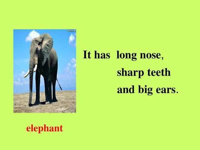 sb it has long nose, sharp teeth and big ears. elephant