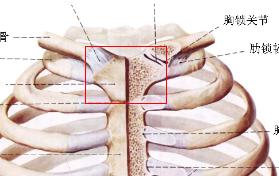 锁骨中间突出怎么回事啊?