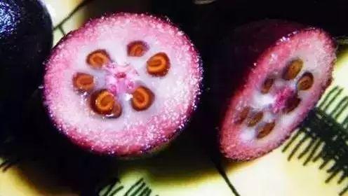 潮汕的"多尼"熟啦!还不来摘?隔着屏幕都想流口水.