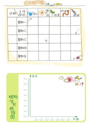 幼儿园自然角种植区 观察记录