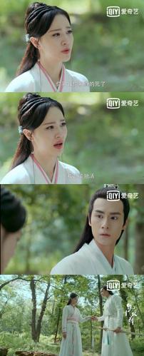 看不懂,花无缺是什么时候喜欢上的铁心兰?有人站.