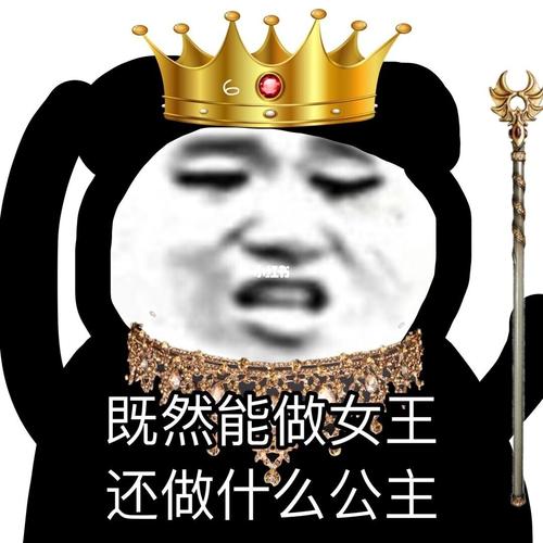 hhh拽姐专用表情包_表情包_素材_表情包