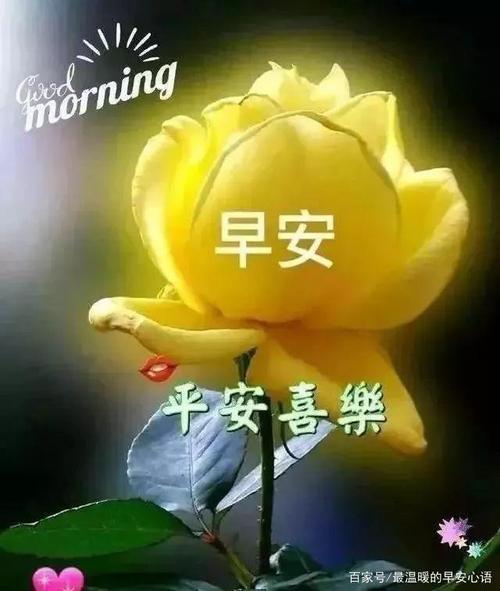 早安祝福文字图片动图 最新版早上好经典问候语表情