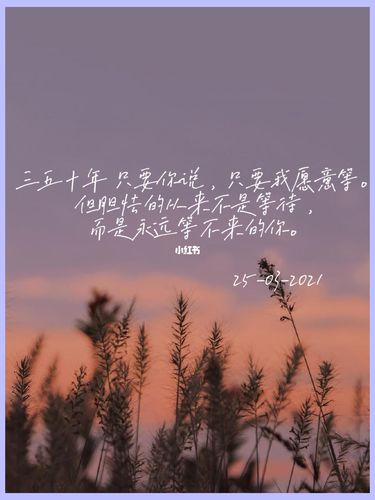 我一直都在_情感句子_素材_文字素材