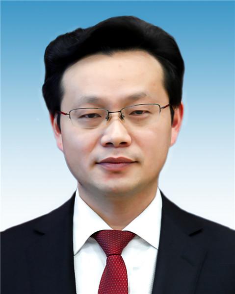 向秀亮 湖南省怀化市鹤城区委书记