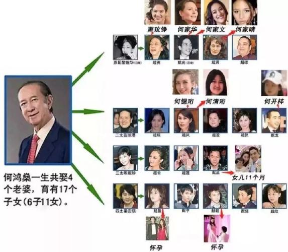 这是何家的图谱,可以看得出到了孙子辈这一代的确人数寥寥,大家都不