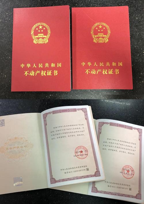 真快龙港办产权证不到1小时