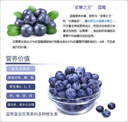 蓝莓的营养价值
