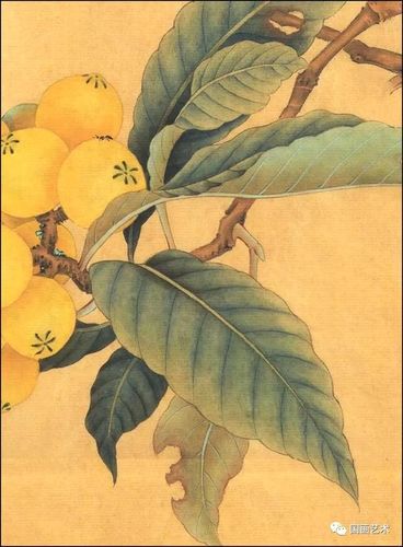 国画技法 丨宋小品工笔《枇杷绣眼图》绘制步骤