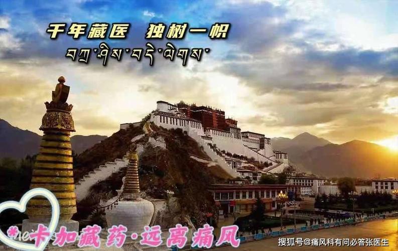 神奇的卡加藏药智泽尼阿